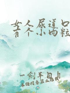 女人尿道口里面有个小肉粒