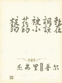 校花被调教成母狗的小说在线观看