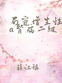 局灶增生性iga肾病二级