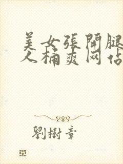 美女张开腿让男人桶爽网站