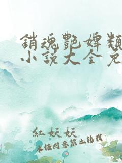 销魂艳婢类似的小说大全免费阅读