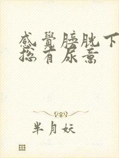 感觉膀胱下坠疼总有尿意