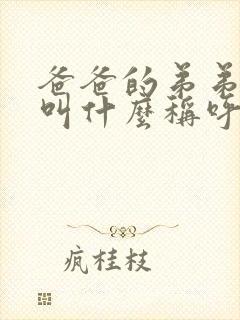 爸爸的弟弟老婆叫什么称呼