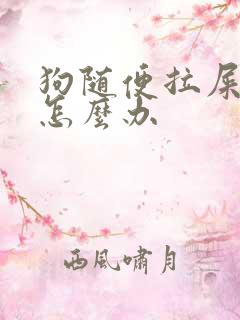 狗随便拉屎撒尿怎么办