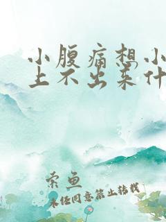 小腹痛想小便又上不出来什么原因