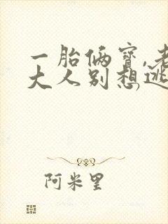 一胎俩宝,老婆大人别想逃小说下载