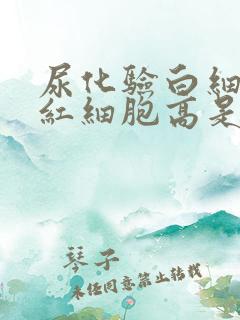 尿化验白细胞和红细胞高是怎么回事