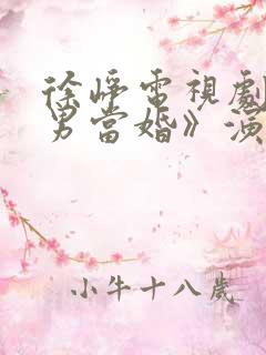 徐峥电视剧《大男当婚》演员表