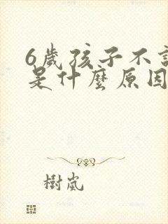 6岁孩子不说话是什么原因