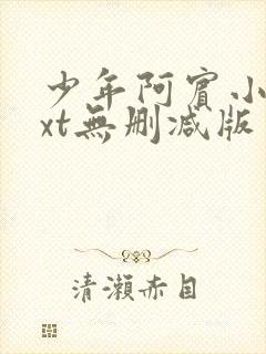 少年阿宾小说txt无删减版