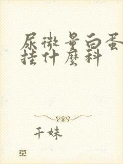 尿微量白蛋白高挂什么科