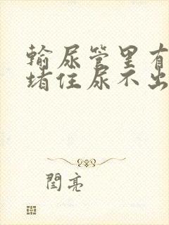 输尿管里有结石堵住尿不出来怎么办