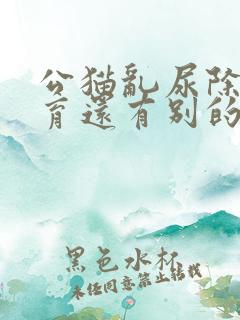 公猫乱尿除了绝育还有别的好办法吗