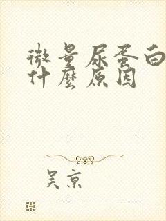 微量尿蛋白高是什么原因