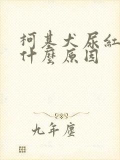 柯基犬尿红尿是什么原因