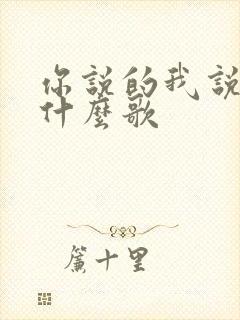 你说的我说的是什么歌