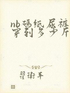 nb码纸尿裤能穿到多少斤