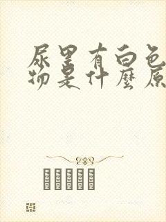 尿里有白色絮状物是什么原因?