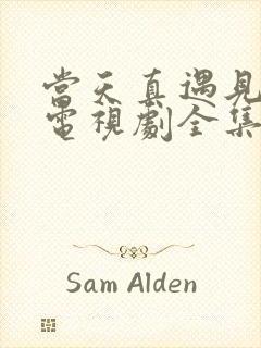 当天真遇见爱情电视剧全集免费