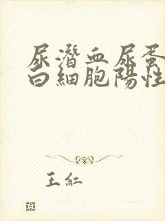 尿潜血尿蛋白尿白细胞阳性