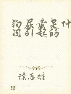 狗尿黄是什么原因引起的