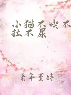 小猫不吃不喝不拉不尿