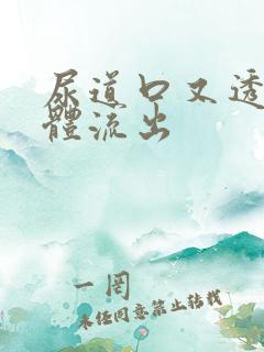 尿道口又透明液体流出