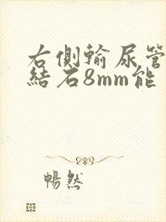 右侧输尿管上段结石8mm能自己排出来吗