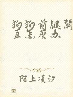 狗狗前腿关节不直怎么办