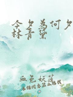 今夕为何夕短剧林青黛