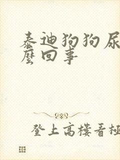 泰迪狗狗尿黄怎么回事