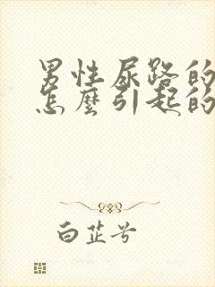 男性尿路的感染怎么引起的