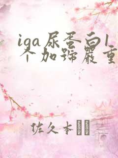 iga尿蛋白1个加号严重吗