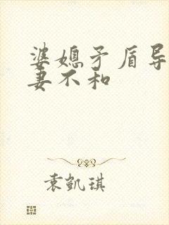 婆媳矛盾导致夫妻不和