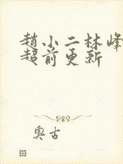 赵小二林峰宁欣超前更新