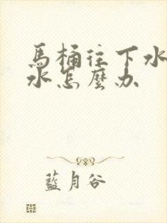 马桶往下水道漏水怎么办