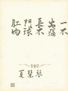 肛门长出一个小肉球不痛不痒