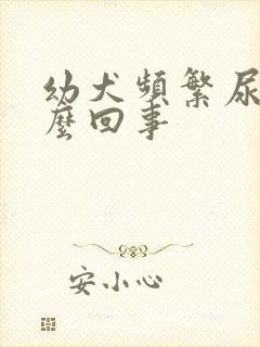 幼犬频繁尿是怎么回事