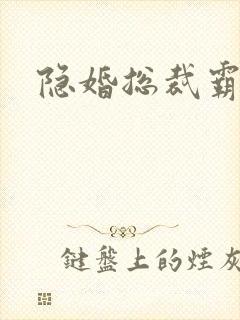 隐婚总裁霸道宠