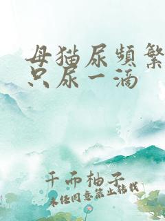 母猫尿频繁每次只尿一滴