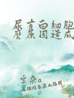 尿有白细胞是什么原因造成的