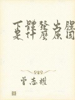 下体发出腥臭味是什么原因