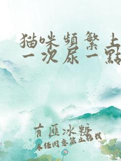 猫咪频繁上厕所一次尿一点咋回事