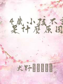 4岁小孩不说话是什么原因造成的