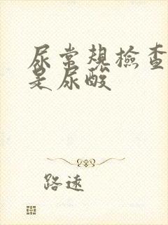 尿常规检查哪个是尿酸