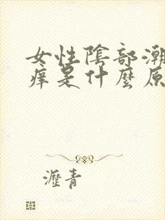 女性阴部潮湿瘙痒是什么原因