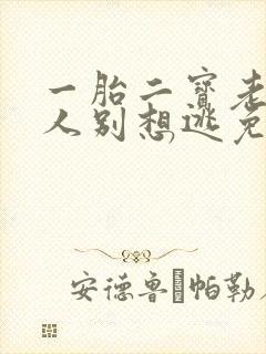 一胎二宝老婆大人别想逃免费阅读