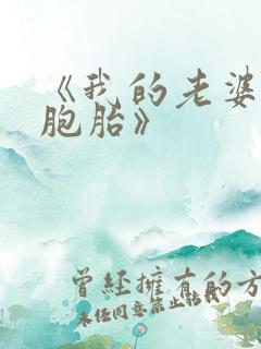 《我的老婆是双胞胎》