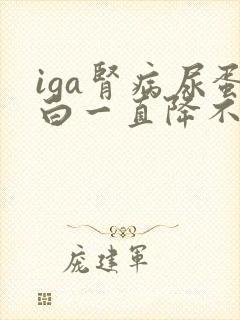 iga肾病尿蛋白一直降不下来怎么办