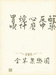 胃烧心反酸口臭吃什么中药